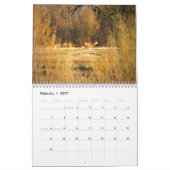 Wilde Sache 2014 Kalender (Feb 2027)