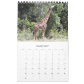 wilde Safari Kalender (Jan 2027)