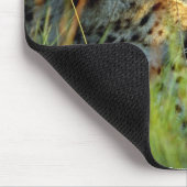 Wilde schöne Tiere 112 Mousepad (Ecke)