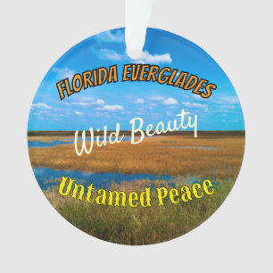Wilde Schönheit Ungezähmter Frieden Everglades Lan Ornament