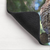 Wilde Schrei-Eule, die im Wald anstarrt Mousepad (Ecke)