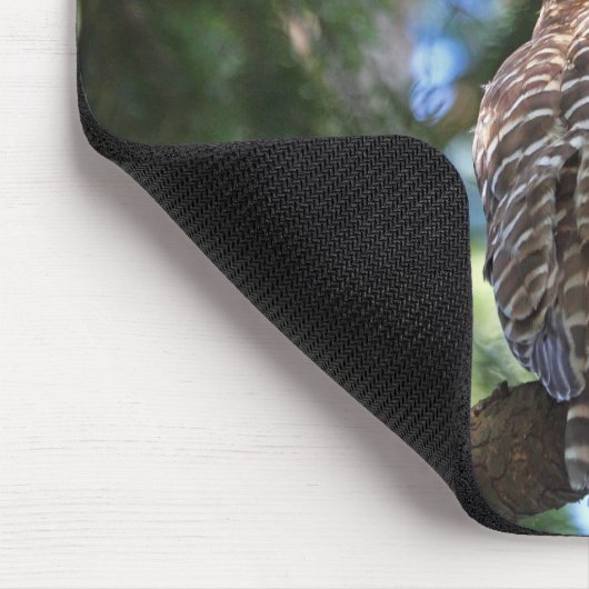 Wilde Schrei-Eule, die im Wald anstarrt Mousepad (Ecke)