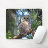 Wilde Schrei-Eule, die im Wald anstarrt Mousepad (Mit Mouse)