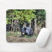 Wilde Schwarzbären-Cub & Forest Wildlife Foto #Gif Mousepad (Mit Mouse)