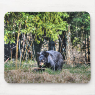 Wilde Schwarzbären-Cub & Forest Wildlife Foto #Gif Mousepad