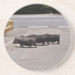 Wilde schwarze Schweine Sandstein Untersetzer