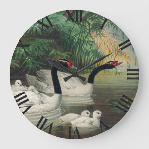 Wilde Schwarzhalsschwan-Familie Vintage-Kunst Große Wanduhr