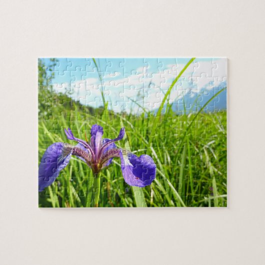 Wilde Schwertlilie und alaskische Landschaft Puzzle (Horizontal)