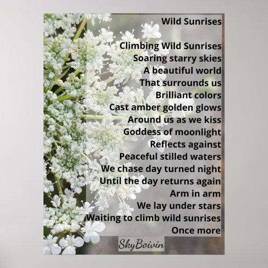 Wilde Sonnenaufgänge Poster (Vorne)