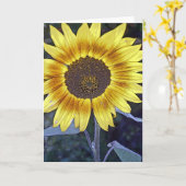 Wilde Sonnenblume Karte (Gelbe Blume)