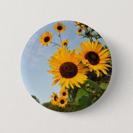 Wilde Sonnenblumen Button (Vorderseite)