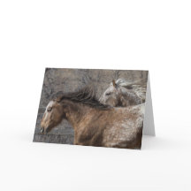 Wilde Stallione: Galloping to Freedom Grußkarte