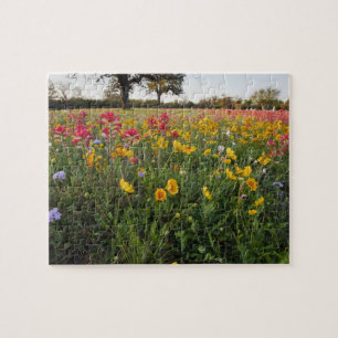 Wilde Straßenblumen in Texas, Frühling Puzzle
