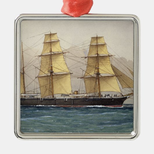 Wilde Swan, 1906 Silbernes Ornament (Vorne)