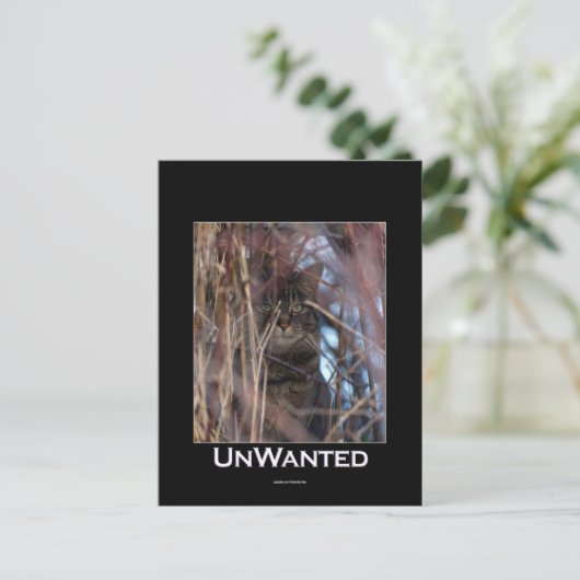 Wilde Tabby Cat Demotivational Animal Postcard Postkarte (Stehend Vorderseite)