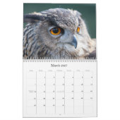 Wilde Tier-Kalender 2012 Kalender (Mär 2027)