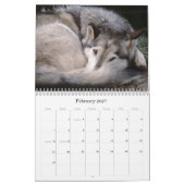 Wilde Tier-Kalender 2012 Kalender (Feb 2027)