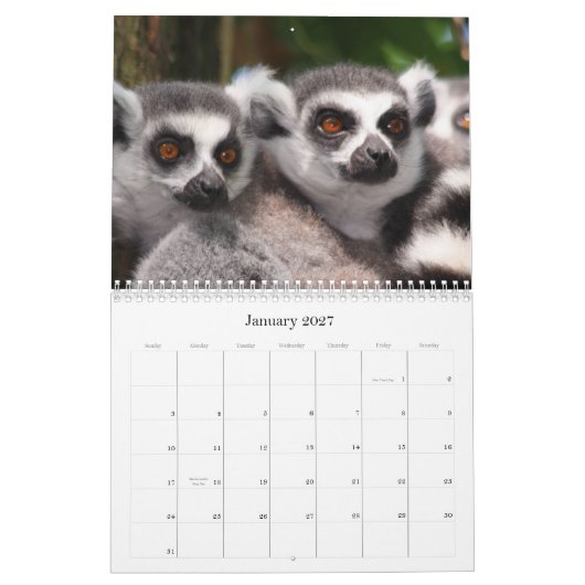 Wilde Tier-Kalender 2012 Kalender (Jan 2027)