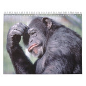 Wilde Tier-Kalender 2012 Kalender (Titelbild)