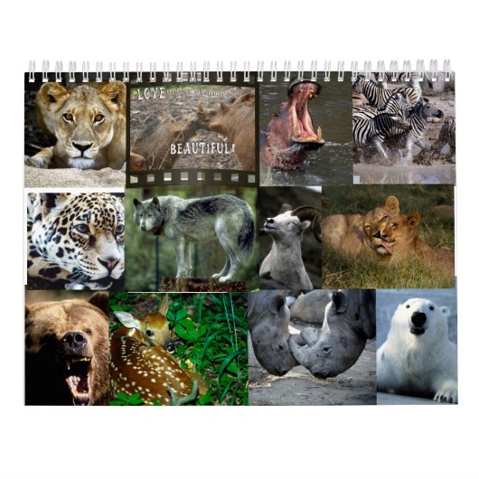 WILDE TIER-KALENDER KALENDER (Rückseite)