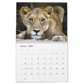 WILDE TIER-KALENDER KALENDER (Jan 2027)