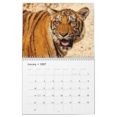 Wilde Tiere 2025 Kalender (Jan 2027)