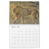 Wilde Tiere 2025 Kalender (Feb 2027)