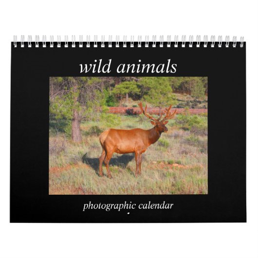 Wilde Tiere 2027 Kalender (Titelbild)