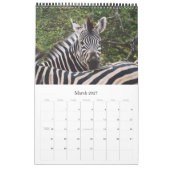 Wilde Tiere Afrika-Safari 2012 Kalender (Mär 2027)