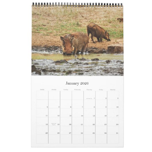 Wilde Tiere Afrika-Safari 2012 Kalender (Jan 2026)