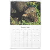 Wilde Tiere Afrika-Safari 2012 Kalender (Feb 2026)