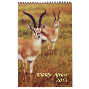 Wilde Tiere Afrika-Safari 2012 Kalender