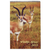 Wilde Tiere Afrika-Safari 2012 Kalender (Titelbild)