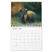 Wilde Tiere Afrika-Safari 2013 Kalender (Feb 2027)
