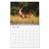 Wilde Tiere Afrika-Safari 2013 Kalender (Mär 2026)