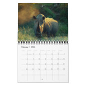 Wilde Tiere Afrika-Safari 2013 Kalender (Feb 2026)