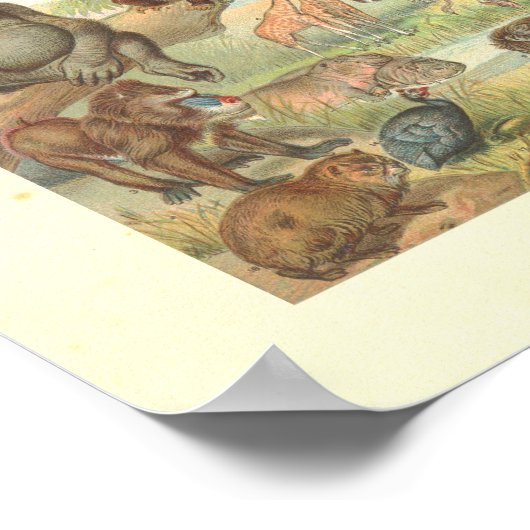 Wilde Tiere Afrikas Poster (Ecke)