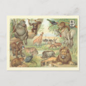 Wilde Tiere Afrikas Postkarte (Vorderseite)