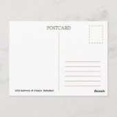 Wilde Tiere Alaskas. Rentiere.. Postkarte (Rückseite)