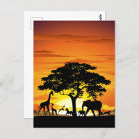 Wilde Tiere auf der afrikanischen Savanna Sunset
