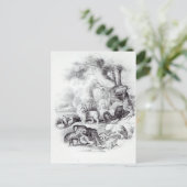 Wilde Tiere aus der Geschichte der Erde Postkarte (Stehend Vorderseite)