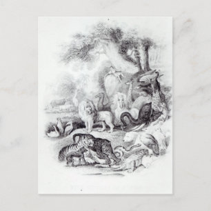 Wilde Tiere aus der Geschichte der Erde Postkarte