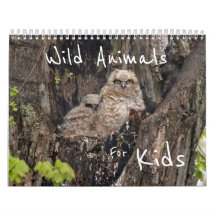 Wilde Tiere für Kinder