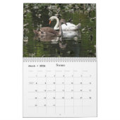 Wilde Tiere für Kinder Kalender (Mär 2026)