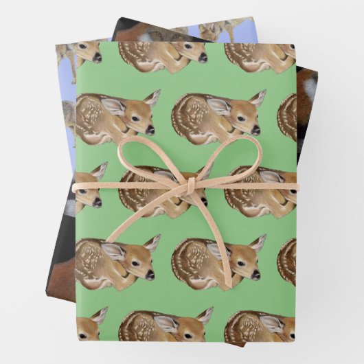 Wilde Tiere Geschenkpapier Set (Beispiel)