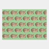 Wilde Tiere Geschenkpapier Set (Vorderseite)