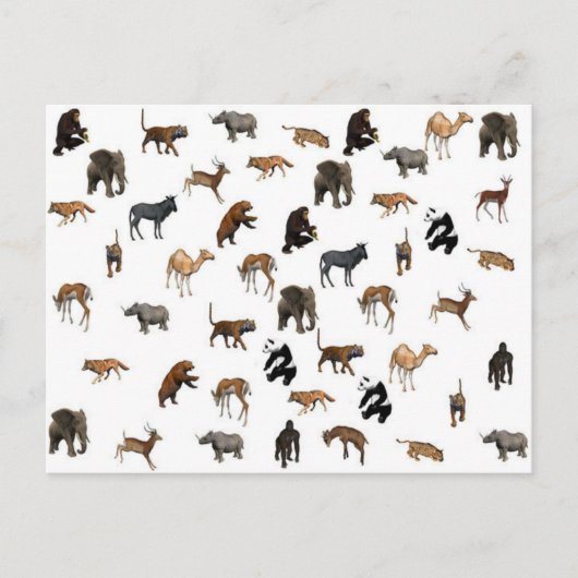 Wilde Tiere Postkarte (Vorderseite)