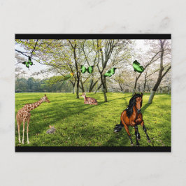 Wilde Tiere Postkarte