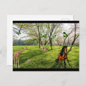 Wilde Tiere Postkarte (Vorne/Hinten)