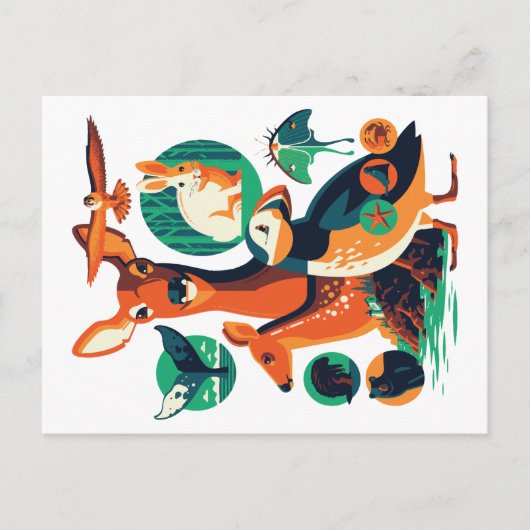 Wilde Tiere V.13 Postkarte (Vorderseite)